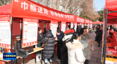 张湾区举行2026年首场春风步履现场聘请会